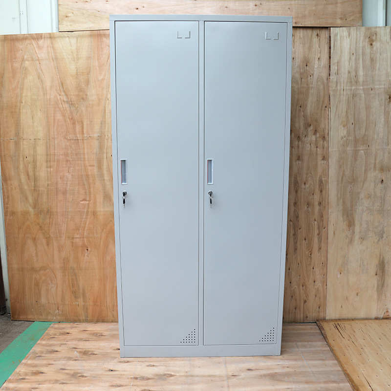 工厂宿舍学校学生宿舍铁皮柜子两门工衣柜多功能更衣柜加厚款
