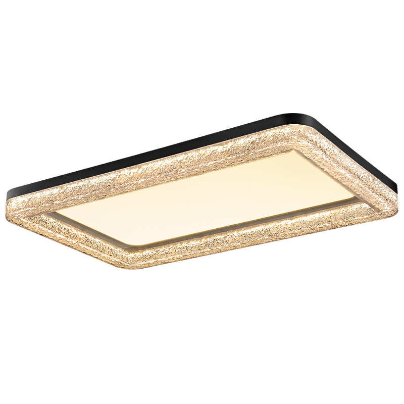 极灯奢led2025吸顶灯简约意新款客厅感客厅树脂现代主轻式大气简