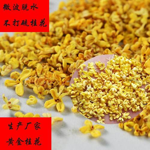 广西桂林微波桂花干真空低温脱水桂花 金桂花干 5A桂花茶泡水冲泡