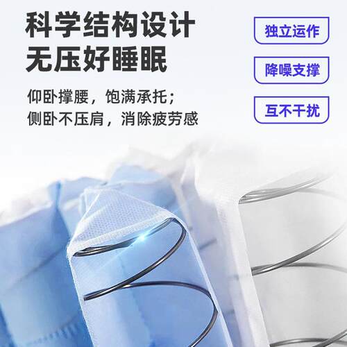 家居焕新棕垫天然乳胶护脊椎静音席梦思民宿榻榻米床垫酒店软垫