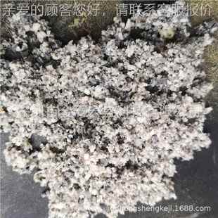 青TPE软胶破碎机 EVA发泡材料岛弹性体硅粉胶 碎机 HSM-100TPRTPU