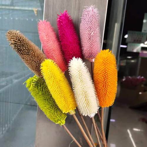 云南真干花 真花果实 花束 插花 材料家居装饰
