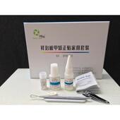 新款 甲贴甲嵌甲矫正器脚趾甲矫正正拉拉贴片专用指沟刀修脚套甲装