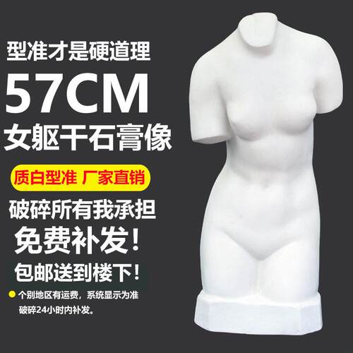 57CM少女躯干石膏像人物石膏头像美术教具画室素描写生人像雕塑