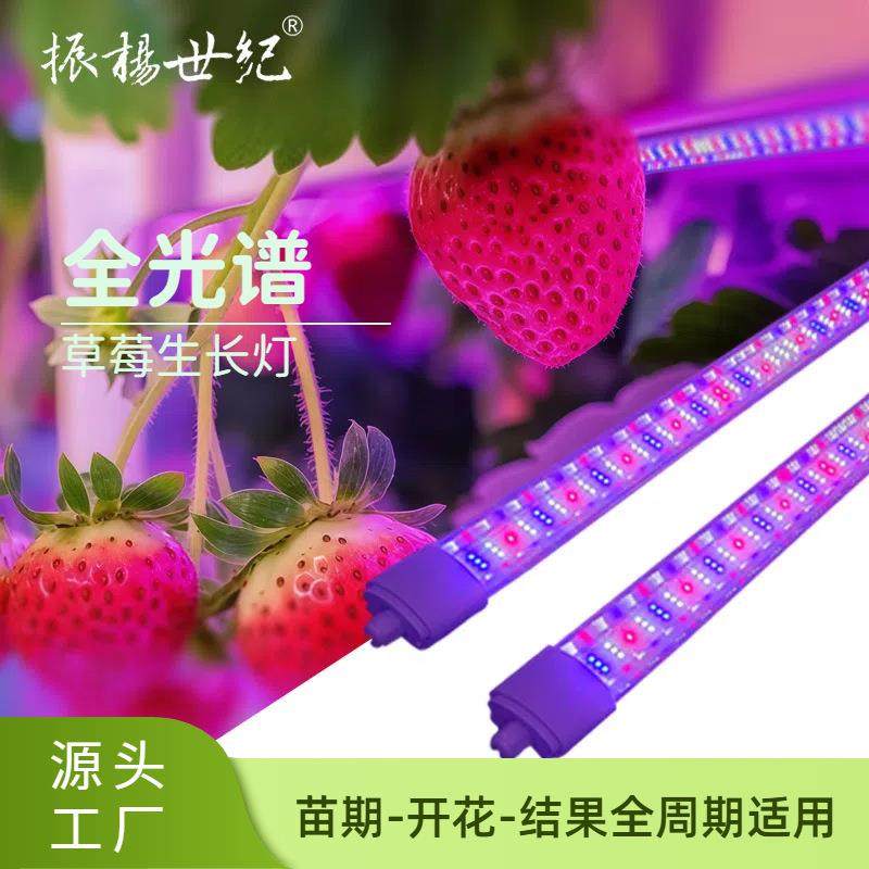 40W草莓补光灯LED植物生长灯管 草莓专用 大棚温室全光谱
