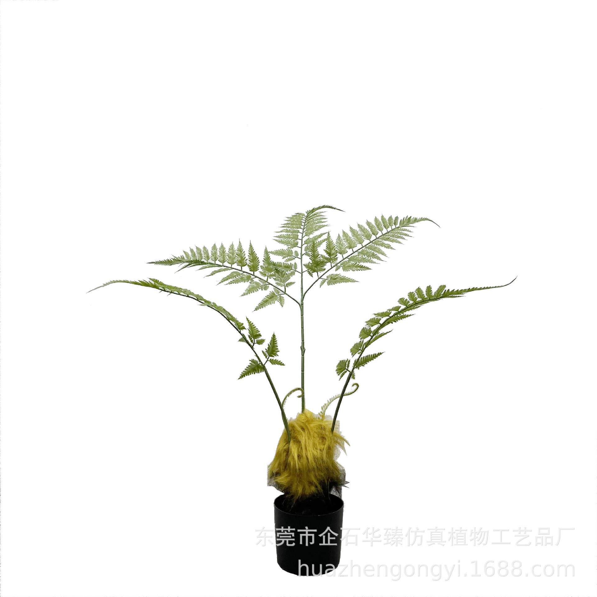 仿真猴头蕨金丝蕨禅意蕨盆栽植物大型蕨类盆景装饰摆件绿植