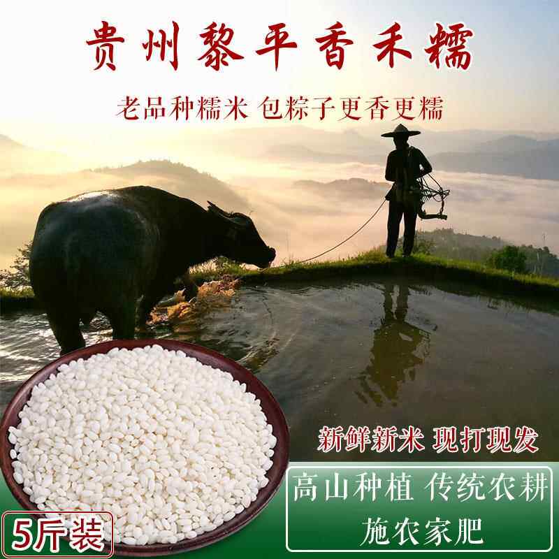 糯米2024年新米包粽子专用黎平农家香禾糯贵州高山梯田老品种5斤