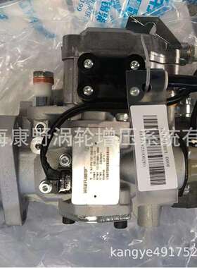 适用XC喷油泵NJ-VP4/10E1200R148 1001230124 1111010BBFL-0000