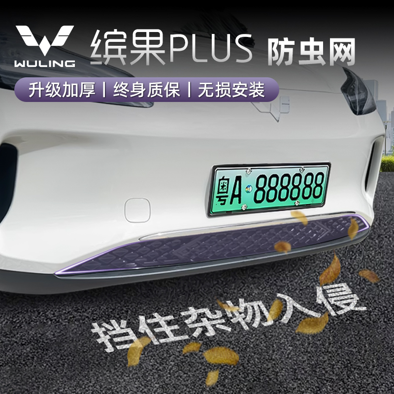 24款五菱缤果plus防虫网高速空调水箱前脸中网进气格栅防尘防护网