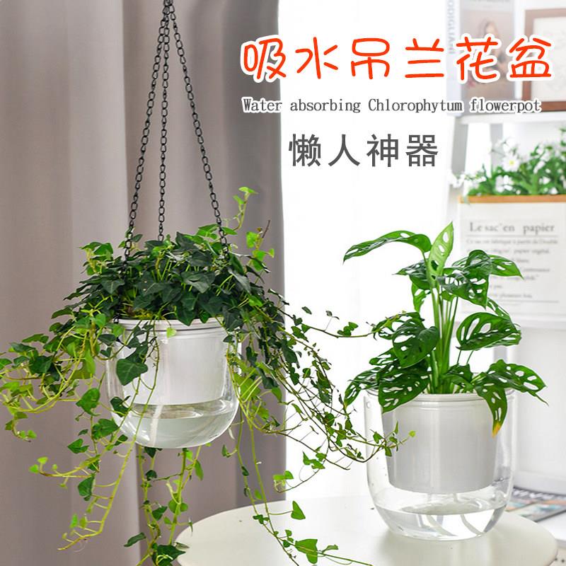 挂式花盆吊兰吊盆绿萝家用懒人吸水吊篮水培植物塑料