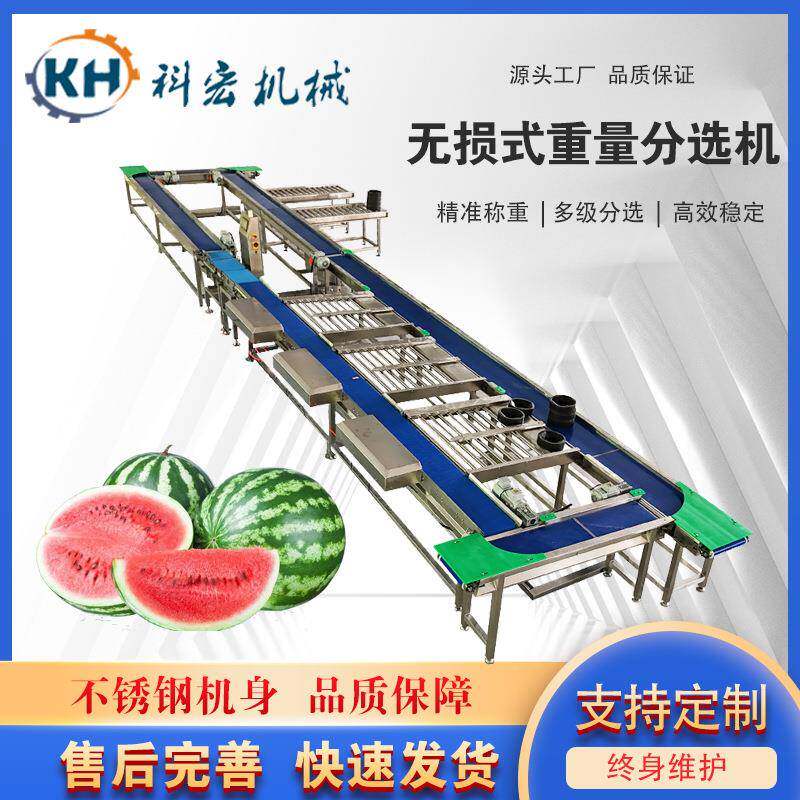山东机械无损式重量分选机菠萝榴莲整果分选哈密瓜智能分拣