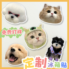 亚克力冰箱贴定制猫咪，照片个性创意，磁性贴logo立体磁铁挂件