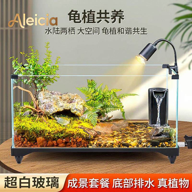 Alecia乌龟饲养缸生态造景家用玻璃缸小型水陆两用养乌龟专用鱼缸