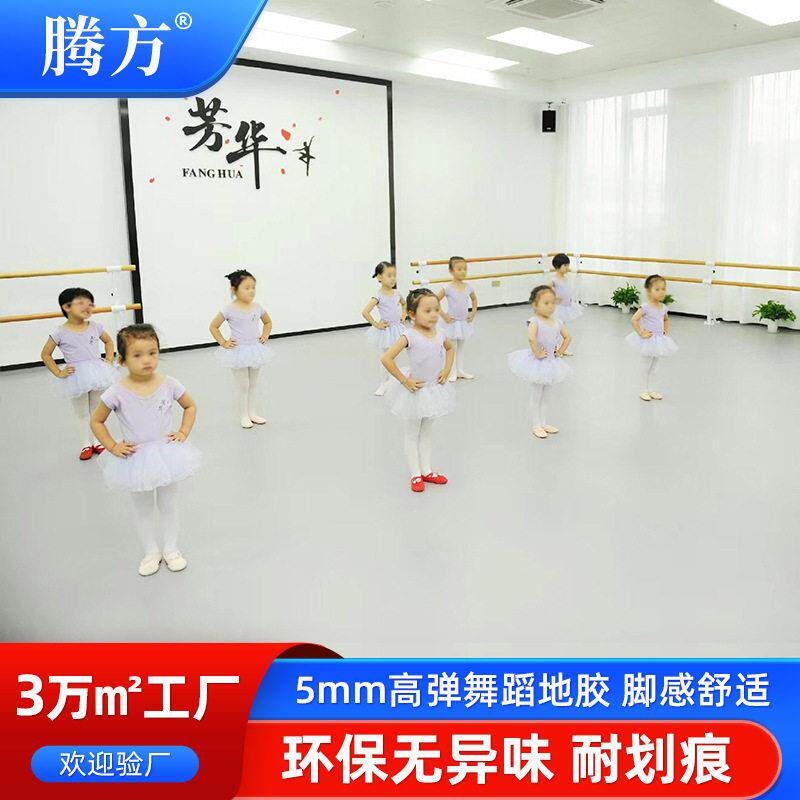 厂家直供舞蹈地胶 幼儿园健身房瑜伽房5mm弹pvc塑胶地板地胶