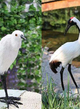 仿真动物模型鸟类羽毛标本摆件孔雀丹顶鹤/白鹭/朱鹮/猫头鹰/老鹰