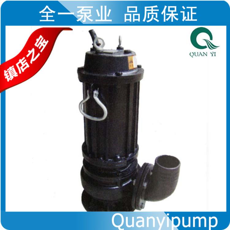 工地污泥杂质排污泵 集水井雨水提升泵 大通道叶轮 IP68 全铜电机