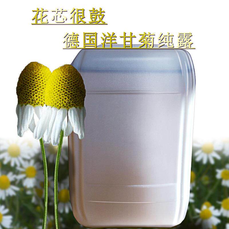 新疆德国洋甘菊纯露 香料原产地洋甘菊爽肤水洋甘菊水洋甘菊纯露
