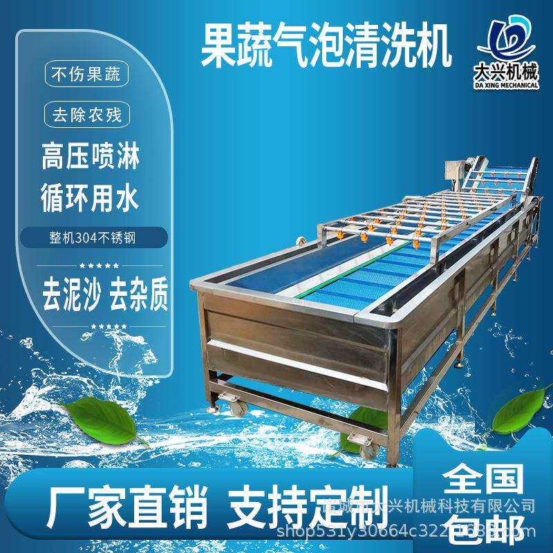 葡萄干清洗机大兴高压喷淋青梅气泡清洗机果蔬清洗加工设备