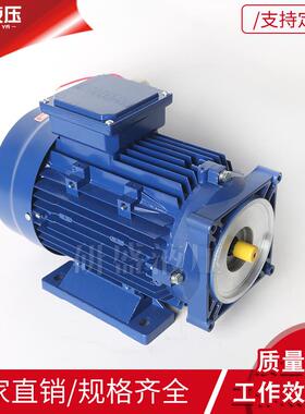 AC220V0.75w-4w交流电机铸铁电机液压动力单元升降机货梯泵站