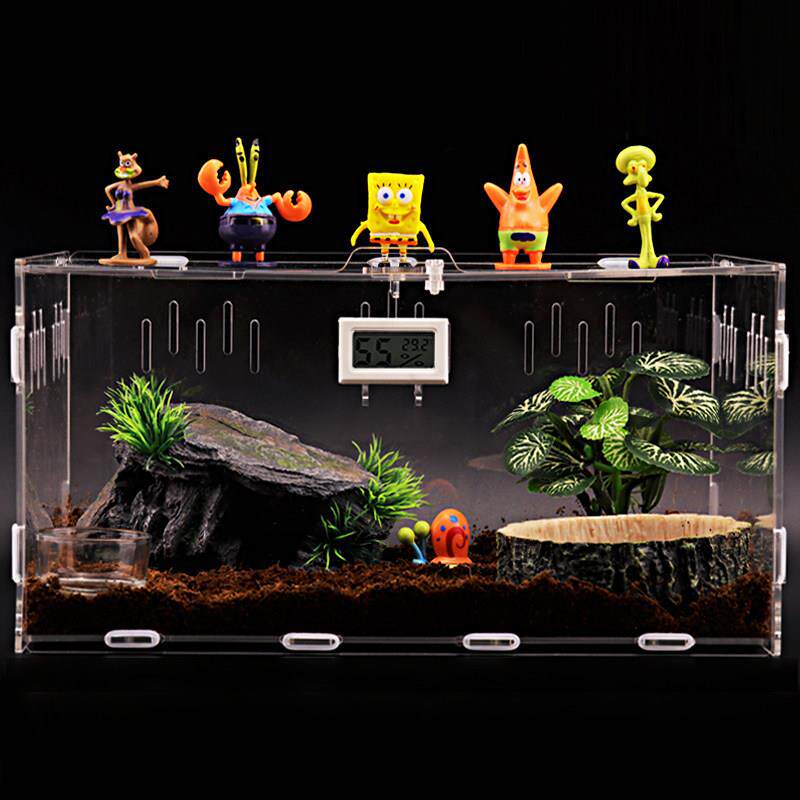 独角仙饲养盒甲虫宠物爬虫箱压克力造景守宫蜘蛛蝎子蜗牛蜥蜴角蛙