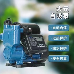 A1智能新型全自动冷热水自吸泵家用井用增压泵抽水泵管道泵 大元