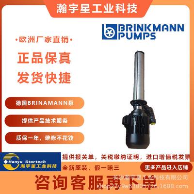 德国 布曼 BRINKMANN KTF 16/120-X+505 泵 质保 可提供海关单