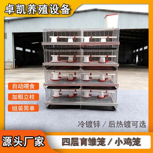 四层立式小鸡笼弹簧门易开合养殖密度大加密加粗笼网育雏笼可