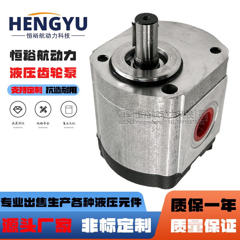 罗茨齿轮泵RONZIO齿轮双向马达02ZLG08A349R02ZCG14L441R液压泵