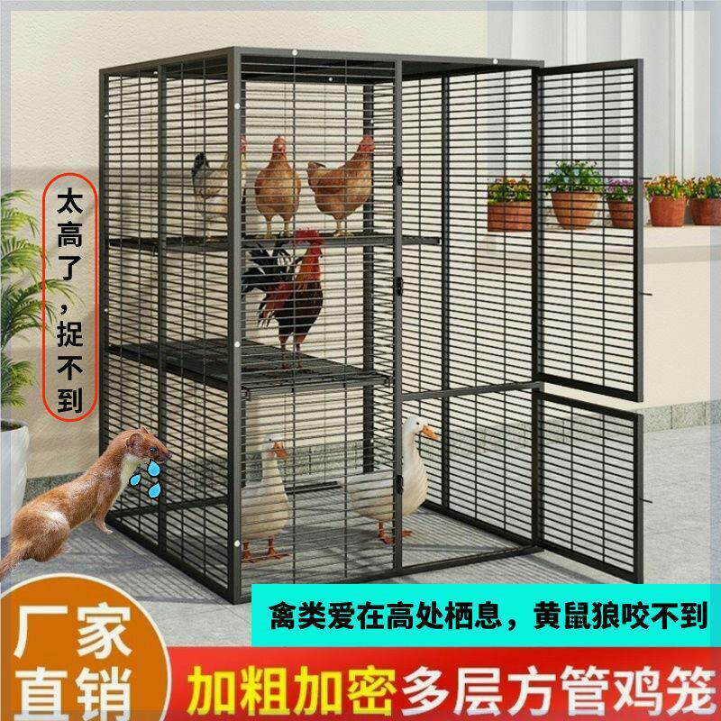 蛋鸡笼子家用大号鸡笼子家用养殖长方形铁笼加粗狗笼鸭笼厂家直销