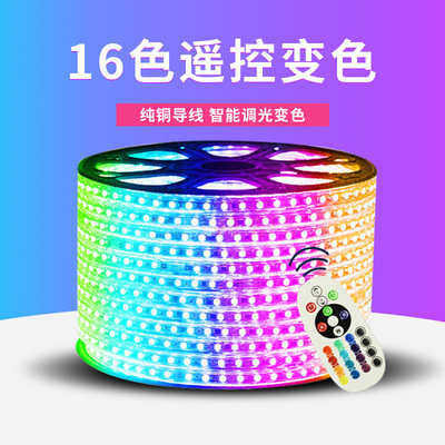 LED灯带220V防水5050RGB彩色灯带彩灯七彩led防水变色软灯条110V