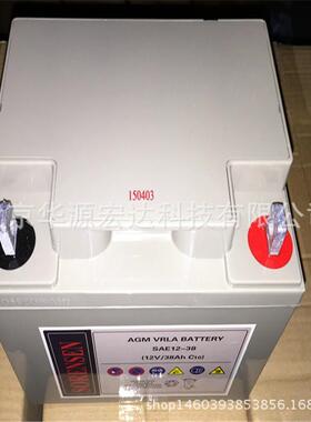 索润森蓄电池SGL12-4012V40Ah铅酸免维护电池质保三年非进口