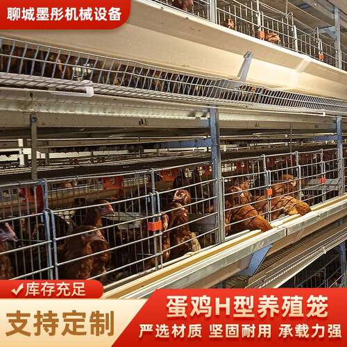 全自动立式H型蛋鸡笼层叠式养鸡设备可来图定制养殖场设备养殖笼
