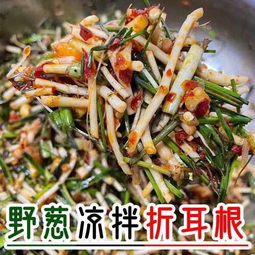 【现拌现发】野葱凉拌折耳根辣椒酱新鲜鱼腥草节节根即食凉菜400g