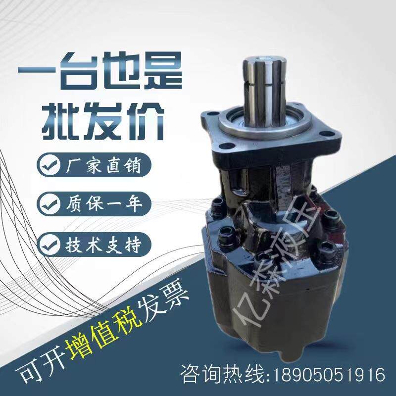 替代HYVA海沃齿轮泵100排量单联齿轮转换机械液压泵 规格齐全现货