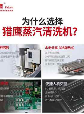 ST-96电加M热蒸汽清洗机机工业级大流量原矿工械自油485动化设备