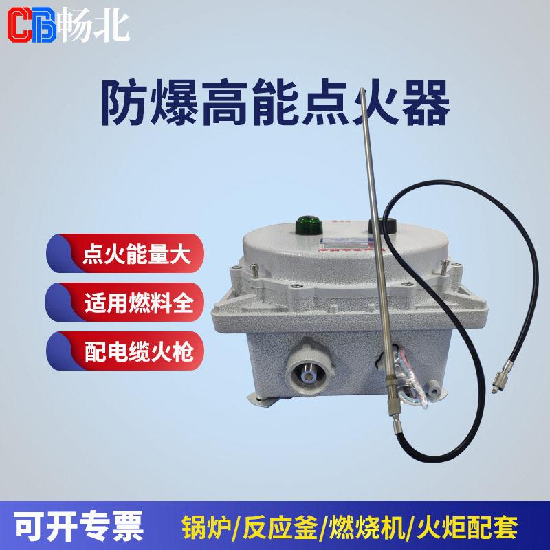 石化火炬放散能点火器远程点火装置220V脉冲点火器远程自动点火
