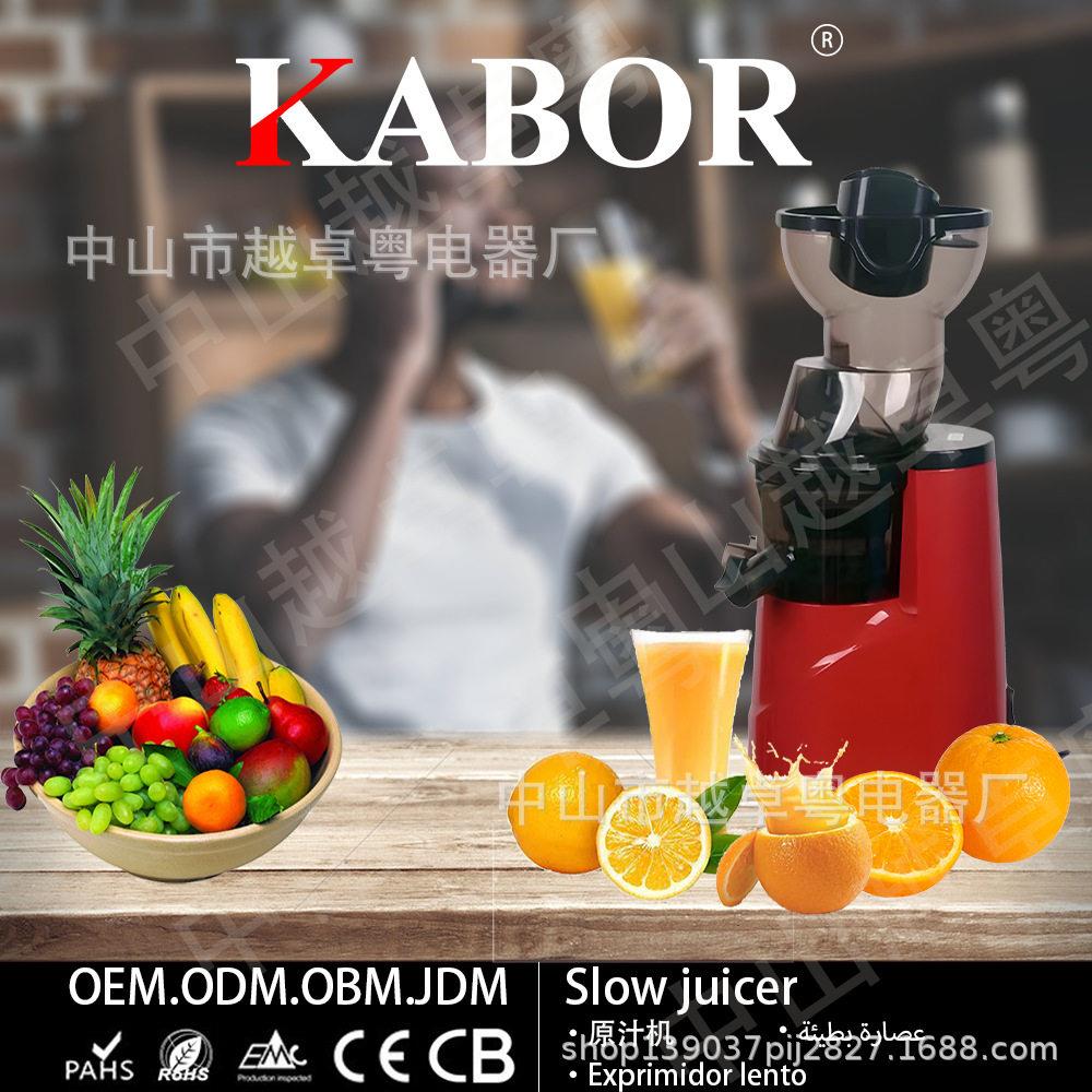 工厂跨境直销大口径原汁机Slowjuicer果汁分离机慢速榨汁机