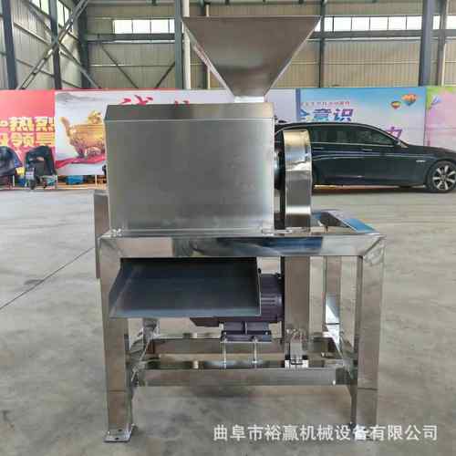 大型杨梅水蜜去皮打浆机 商用芒果蓝莓草莓去核打浆机