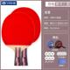 正品 横学生专用球拍四星乒乓球拍拍直拍单只初 小银乒河乓球拍正品