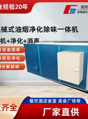 油烟净化一体机餐饮酒店饭店厨房低空商用油烟净化设备厂家直供