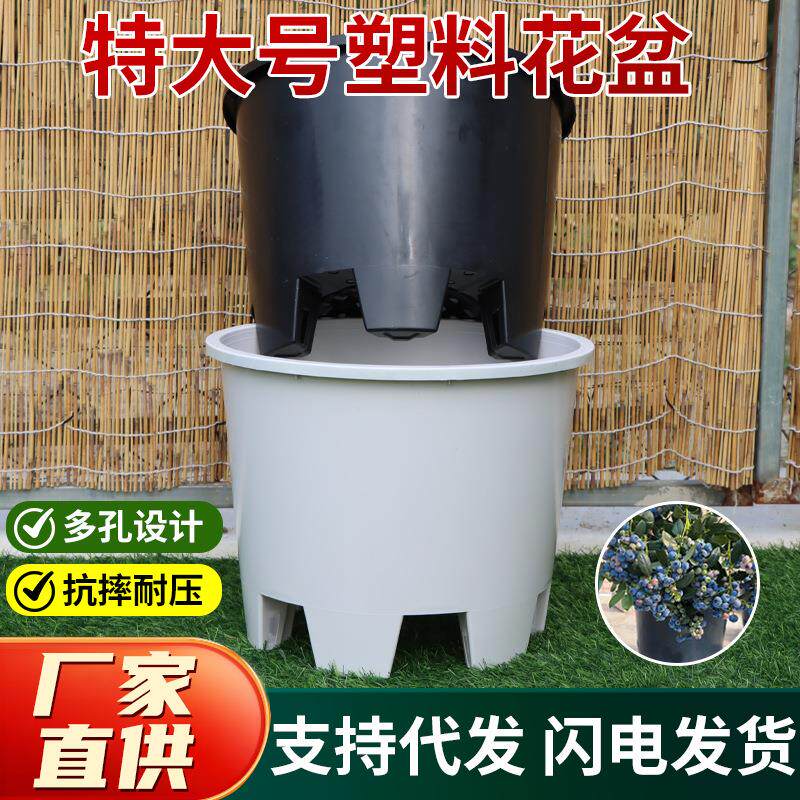 蓝莓盆特大花盆吹塑注塑加仑盆苗圃专用加厚大号育苗盆大花盆