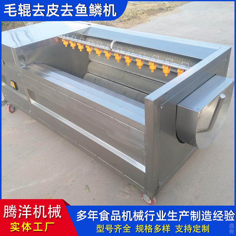 不锈钢毛辊清洗去皮机土豆果蔬去皮清洗机羊头羊蹄清洗机器设备