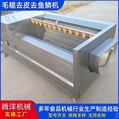不锈钢毛辊清洗去皮机土豆果蔬去皮清洗机羊头羊蹄清洗机器设备