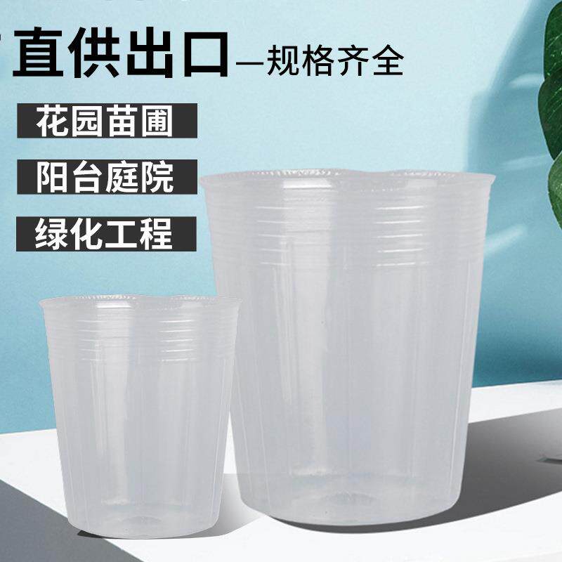 蝴蝶兰营养钵透明育苗盆育苗杯塑料营养杯营养钵营养袋育苗盘