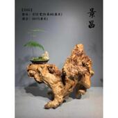 根雕干枯木风化装 艺术品新台花瓶天然摆件树根槠泡底座0wyv木 中式