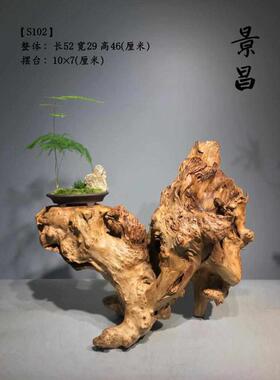 根雕干枯木风化装中式艺术品新台花瓶天然摆件树根槠泡底座0wyv木