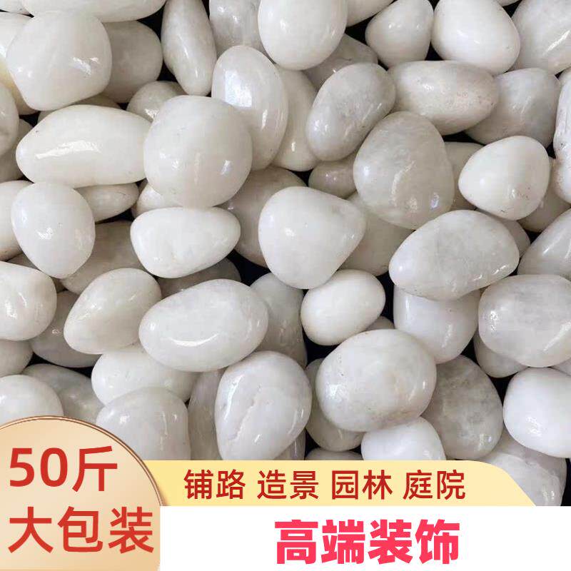 铺地白色石子景观造景铺路石子小白石头白石子大鹅卵石庭院50斤装