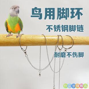 鹦鹉牵引绳放飞绳脚环/脚链不锈钢鸟链子 喜鹊八哥伯劳牡丹玄凤鸽