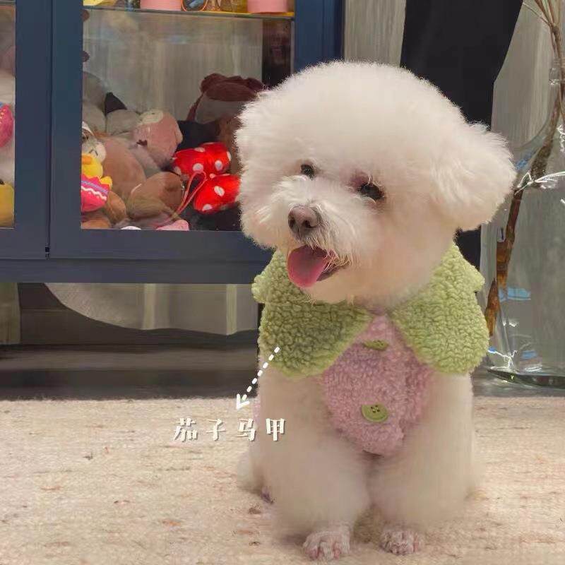 加厚宠物秋冬狗狗猫咪衣服加厚加绒背心可爱胡萝卜棉衣变身装