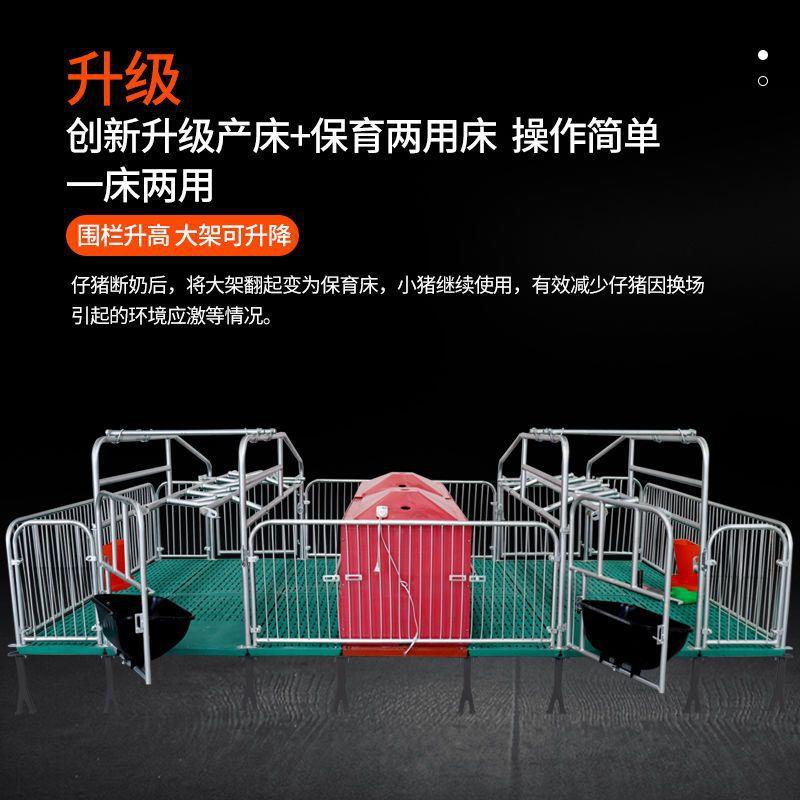 母猪产床热镀2.5产保一体复合板定限位栏单双体保育床养殖猪设备